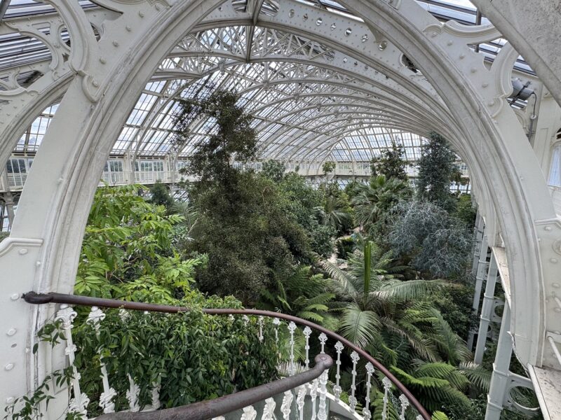 Une visite de Kew Gardens intéressera aussi bien les amateurs de botanique, d'architecture, de patrimoine ou d'histoire