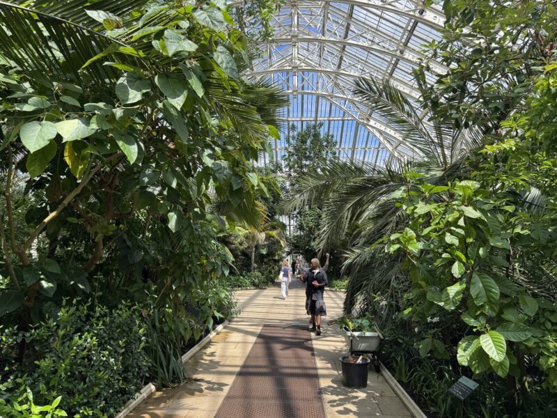 À l'intérieur de Temperate House, la plus grande serre victorienne du monde
