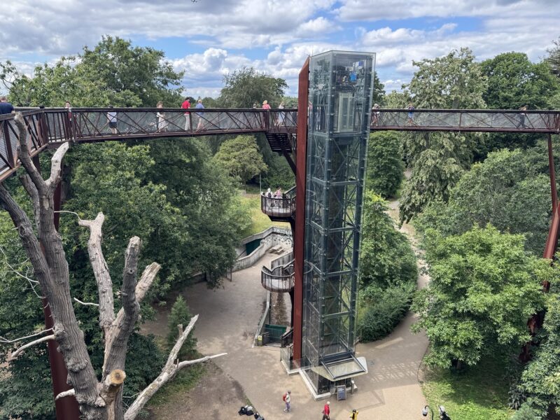 Le Treetop Walkway permet de déambuler au niveau de la cime des arbres, perché à 18 mètres de hauteur