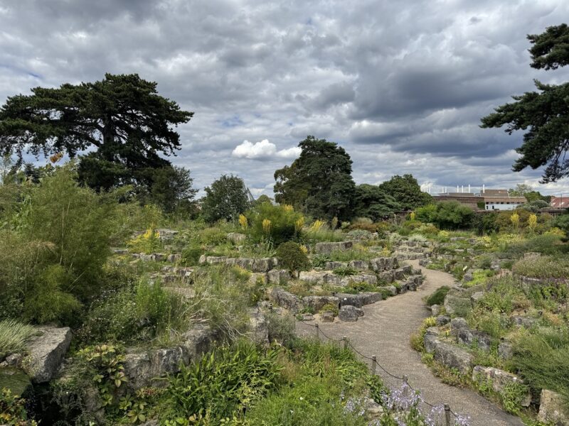 Le Rock Garden est le plus grand (et ancien) jardin du genre au monde... et c'est à Kew Gardens, à Londres !