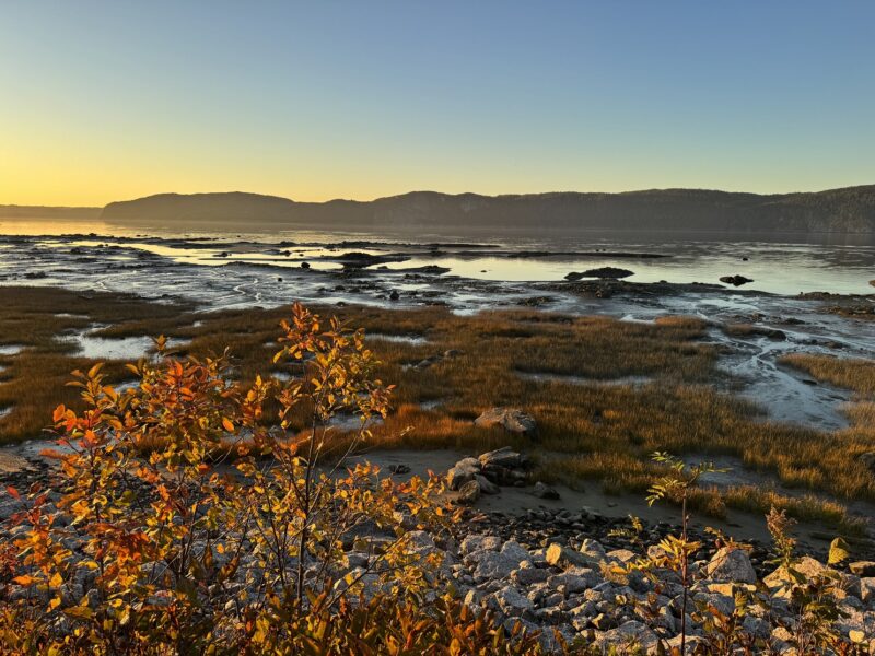 Vue sur la baie des Ha Ha, avant d'arriver à Grande-Baie le long de la route 170 (Québec)