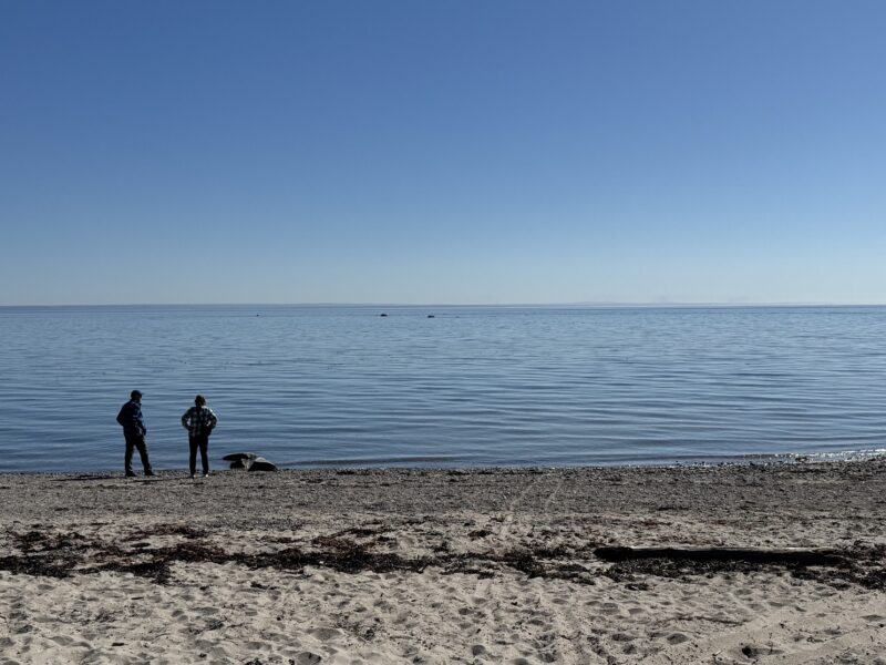 Deux personnes se promènent sur la plage des Grandes-Bergeronnes, au bord du Saint-Laurent